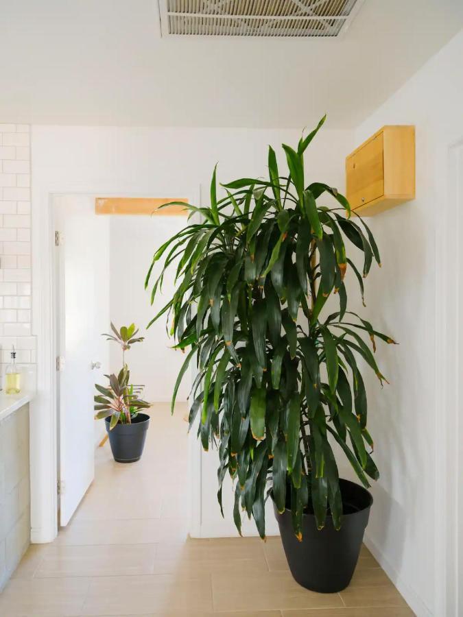 The Zen - Outdoor Shower, Gas Fireplace, Walkable To Shops & Restaurants Джошуа-Три Экстерьер фото